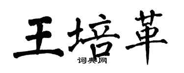 翁闿运王培革楷书个性签名怎么写