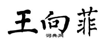 翁闿运王向菲楷书个性签名怎么写