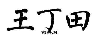 翁闿运王丁田楷书个性签名怎么写