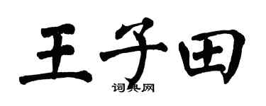 翁闿运王子田楷书个性签名怎么写