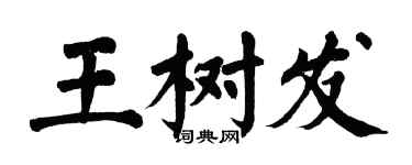 翁闿运王树发楷书个性签名怎么写