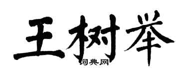 翁闿运王树举楷书个性签名怎么写