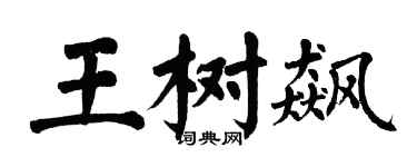 翁闿运王树飙楷书个性签名怎么写