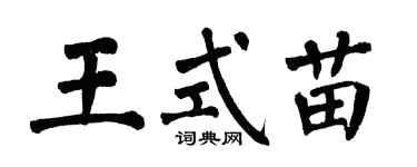 翁闿运王式苗楷书个性签名怎么写