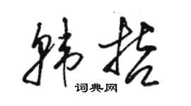 骆恒光韩哲草书个性签名怎么写