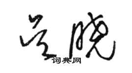 骆恒光吴晓草书个性签名怎么写