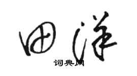 骆恒光田洋草书个性签名怎么写