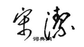 骆恒光宋洁草书个性签名怎么写