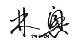 骆恒光林兴草书个性签名怎么写