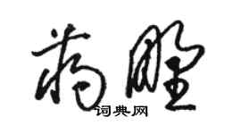 骆恒光蒋野草书个性签名怎么写