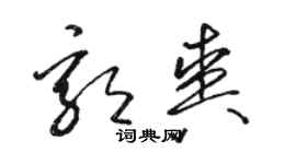 骆恒光郭爽草书个性签名怎么写
