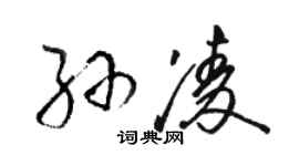 骆恒光孙凌草书个性签名怎么写