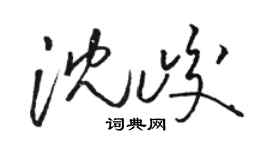 骆恒光沈峻草书个性签名怎么写