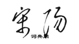 骆恒光宋阳草书个性签名怎么写
