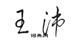 骆恒光王沛草书个性签名怎么写