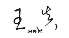 骆恒光王真草书个性签名怎么写