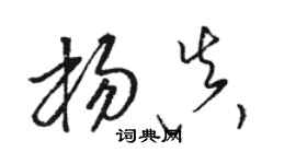 骆恒光杨真草书个性签名怎么写