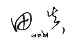 骆恒光田真草书个性签名怎么写
