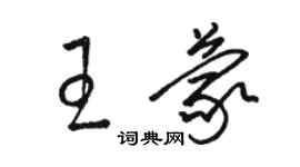 骆恒光王蒙草书个性签名怎么写