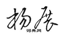 骆恒光杨展草书个性签名怎么写