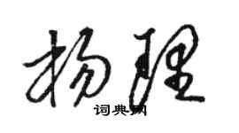 骆恒光杨理草书个性签名怎么写