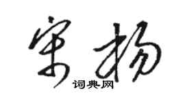 骆恒光宋杨草书个性签名怎么写