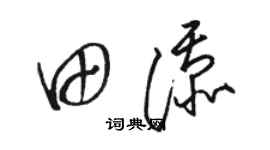 骆恒光田添草书个性签名怎么写