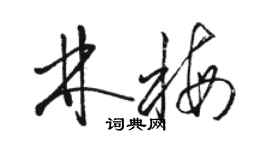 骆恒光林梅草书个性签名怎么写