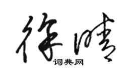 骆恒光徐晴草书个性签名怎么写