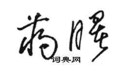 骆恒光蒋曙草书个性签名怎么写