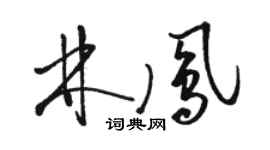 骆恒光林凤草书个性签名怎么写