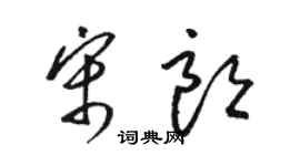 骆恒光宋朗草书个性签名怎么写
