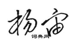 骆恒光杨宙草书个性签名怎么写