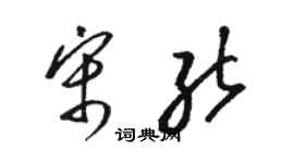 骆恒光宋能草书个性签名怎么写