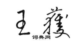 骆恒光王获草书个性签名怎么写