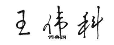 骆恒光王伟科草书个性签名怎么写