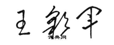 骆恒光王彩军草书个性签名怎么写