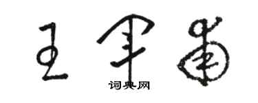 骆恒光王军甫草书个性签名怎么写