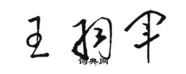 骆恒光王羽军草书个性签名怎么写