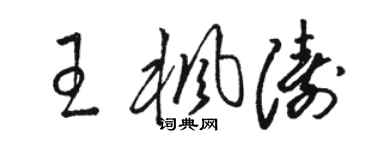 骆恒光王枫涛草书个性签名怎么写