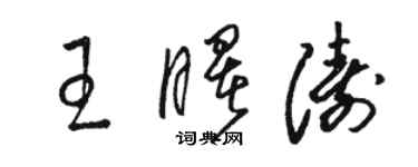 骆恒光王曙涛草书个性签名怎么写