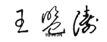 骆恒光王盟涛草书个性签名怎么写