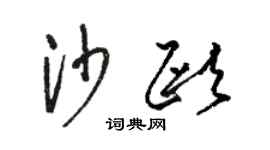 骆恒光沙欧草书个性签名怎么写