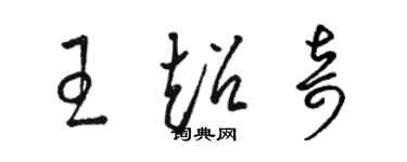 骆恒光王超奇草书个性签名怎么写