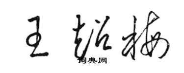 骆恒光王超梅草书个性签名怎么写