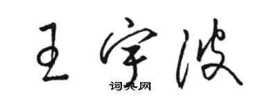骆恒光王宇波草书个性签名怎么写