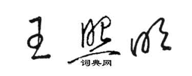骆恒光王照明草书个性签名怎么写