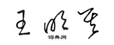 骆恒光王明其草书个性签名怎么写