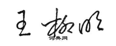 骆恒光王柳明草书个性签名怎么写