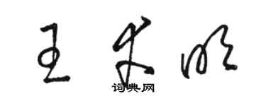 骆恒光王幸明草书个性签名怎么写